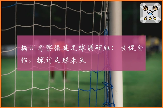 梅州考察福建足球调研组：共促合作，探讨足球未来